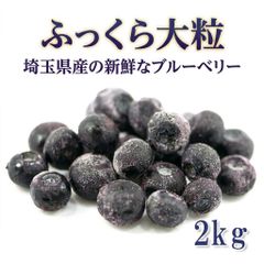 農家直送＝自然栽培ブルーベリー2キロポッキリ初出荷記念安心チルド