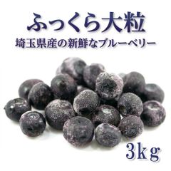 農家直送＝自然栽培ブルーベリー3キロポッキリ初出荷記念+300g安心