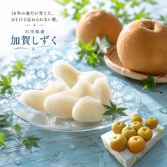 業務用50個】青森ひばのたまご 圧倒的ボリューム！家中まるごと消臭 