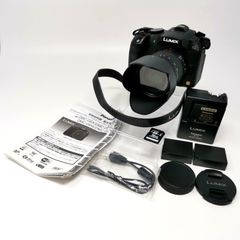 GH5と14-42mm標準ズームレンズセットV-Log L解放済ジャンク - メルカリ