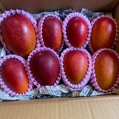 特大訳あり】宮崎完熟マンゴー 6玉 約3.5kg - メルカリ