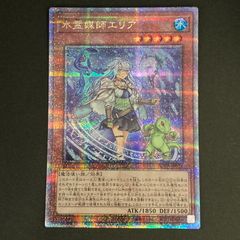 遊戯王 水霊使いエリア シークレット 決闘者の王国 - メルカリ