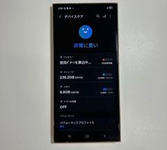 Galaxy S24 Ultra 256GB 香港版 物理2枚 SIMフリー - メルカリ