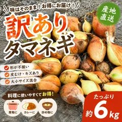 【ＪＡ佐野】激安 送料無料 訳アリ フードロスにご協力願います 栃木県産 タマネギ 6kg 大きさ色々 玉ねぎ お得 たまねぎ 家庭用のサムネイル