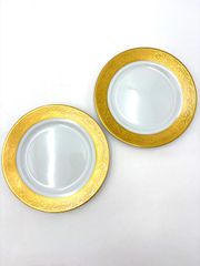 HAVILAND LIMOGES VIEUX PARIS プレート 2枚 - メルカリ