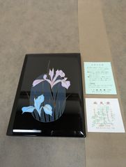 安藤七宝店 飾り皿・七宝焼 絵皿『銀彩胡蝶蘭』 - メルカリ
