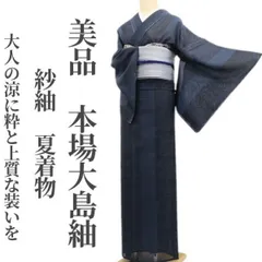 【美品・夏大島紬】紗紬 夏着物 正絹 仕付け糸付 tomihisa“大人の涼に粋と上質な装いを”6332のサムネイル