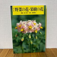 寄せ植え 花□みつばちと花畑 - メルカリ