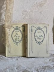 超希少1933年チェコ絵本 アンティーク 妖精の物語 Jarabacek - メルカリ