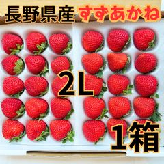 クール便送料込】春限定 加工用いちご 新鮮朝採りいちご - メルカリ
