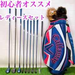 4 初心者オススメ ゴルフクラブ レディースセット 右利き バック