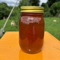養蜂家直送】 はちみつ 2kg 国産 天然 非加熱 生蜂蜜 2026年5月新蜜