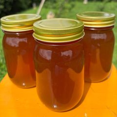 高知県産⭐︎蜂蜜⭐︎濃厚⭐︎日本ミツバチ⭐︎1200g - メルカリ