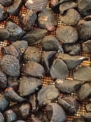 【8月10日まで！】高知県産★天然チャンバラ貝（マガキガイ） 2kg　クール便 高知県産☆天然チャンバラ貝（マガキガイ） 2kg クール便 - メルカリ
