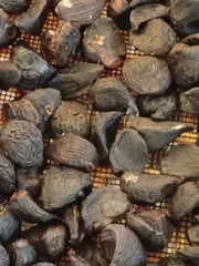 在庫限黒にんにくC級 5kg 国産 青森県産 福地ホワイト六片種 訳あり 加工用【9998】のサムネイル