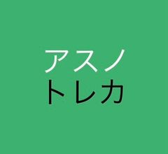 初期不良品] ヴァイオレット・エヴァーガーデン LPサイズディスク収納