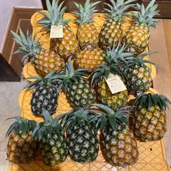 クール便　訳ありセット　ジュワリーパイン9玉　自然開花ピーチパイン6玉　15玉約8キロ　沖縄　石垣島パインのサムネイル