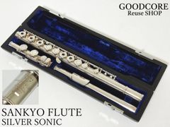 最終値下げ RMI Ruina miyashiro cocytus 7弦ギター - メルカリ