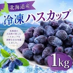 【季節限定】北海道産 冷凍ハスカップ1kg 果物 フルーツ 季節限定 国産 ジャム スムージー 無添加 取り寄せ グルメ【オイシアショップス】のサムネイル