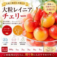 M玉10.0kg+規格外1.0kg パッションフルーツ - 일본구매대행 직구 재팬잉