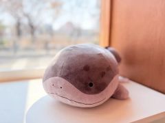ポケットモンスター めちゃもふぐっとぬいぐるみ ドオータグ付き 5個