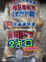 楽茶待夢 日乃出軒 豆菓子 フライビンズ 大袋2袋 - メルカリ