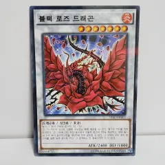 2026年最新】ブラック・ローズ・ドラゴン 韓国の人気アイテム - メルカリ