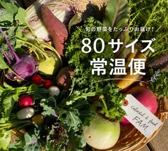 岩手県産 新鮮野菜の詰め合わせ たっぷり80サイズ ⚠︎常温便⚠︎ 野菜BOXのサムネイル