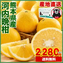 お買い得!! 【大容量🍊】 河内晩柑 7kg 送料無料 和製 グレープフルーツ フルーツ 果物 訳あり 夏文旦 晩柑 ジューシーみかん 熊本県産 mikan 《1-5営業日以内に発送(土日祝除く)》のサムネイル