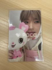 NCT WISH サクパン bakery Pocket wishdoll サクヤ - メルカリ