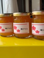 数量限定‼️木成り完全完熟❗️山形県産『節田梅』ジャム用訳あり1kg