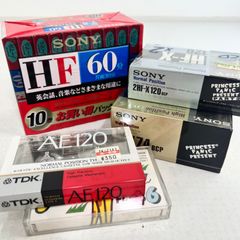 未使用】Raynox AF-1500 ビデオコンバージョンレンズ 箱・説明書付