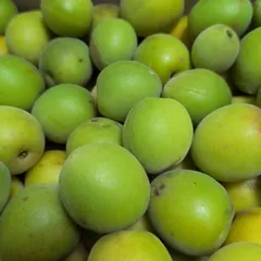 青うめ 約2kg(箱等込み) 梅酒梅ジュース梅シロップにいかがのサムネイル