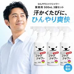 ひんやりシャツシャワー 極冷 COOL STRONG 2種500ml ×6本 - メルカリ