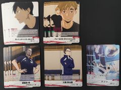 ハイキュー バボカ ユース&選抜強化合宿 BOX特典 プロモパック HV-P03