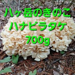 初物！天然きのこ、ハナビラタケ 900g。 - メルカリ