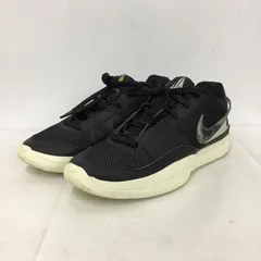 NIKE ナイキ スニーカー DR8786-002 JA 1 EP 28.5cmのサムネイル