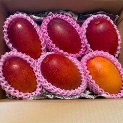 訳あり特大宮崎完熟マンゴー 6玉約3.1kg - メルカリ