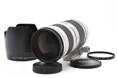 2026年最新】ef70 200mm f4l usm 中古の人気アイテム - メルカリ