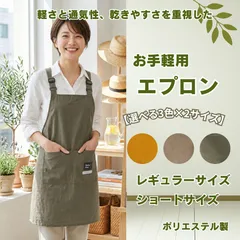 エプロン 簡易用 軽量 通気性 超薄手 ポリエステル 軽作業用 アジャスト 男女兼用 メンズ レディースのサムネイル