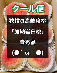 猿投の桃 加納岩白桃 青秀品 1.6kg - メルカリ