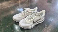 NIKE ペガサス プレミアム 25.5㎝ IH3256-700 - メルカリ