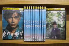 青天を衝け 完全版 【全12巻】 レンタル版DVD 全巻 NHK大河 吉沢亮