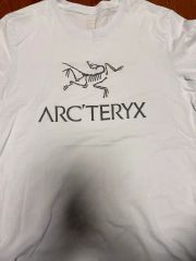 ARC'TERYX アークテリクス リザード トカゲ Tシャツ アウトドア 定番