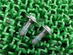 ボルト BMW 純正 中古 2本セット A2 首下16.5mm ネジ径5mm コンディション良好 Dsのサムネイル