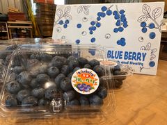 新鮮なブルーベリー 311g カナダ産 12盒クール便発送 - メルカリ