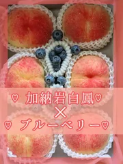 trattoriamasa_1007様専用クール便♡のサムネイル