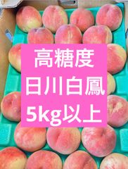 猿投の桃 高糖度 加納岩白桃 青秀品 ギフト 白桃 - メルカリ