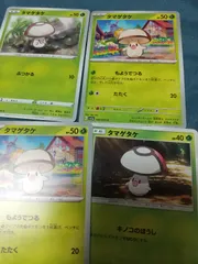 ポケモンカード タマゲタケ まとめ処分 s-185のサムネイル