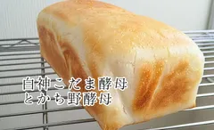 冷凍便　米粉食パン2本セット　【グルテンフリー】白神こだま酵母　とかち野酵母のサムネイル